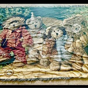 Boys bear throw and pillow.